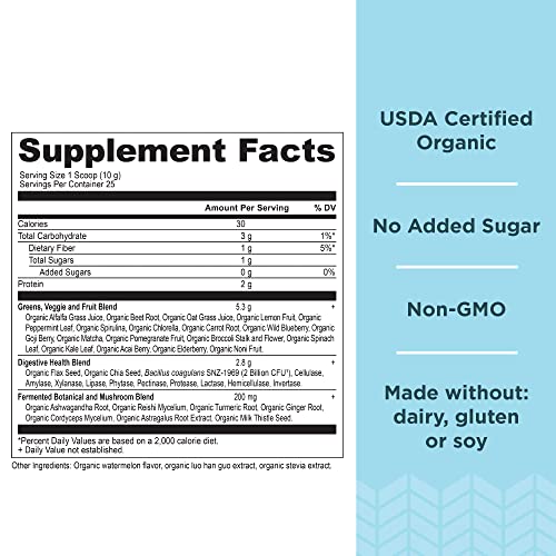 Ancient Nutrition Organic Watermelon Supergreens, 8.82 OZ Ancient NutritionUS supplements