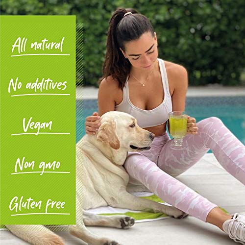 Dr. Zisman ZT Slimming - Matcha-Coconut Detox Blend, Weight Loss Tea with Antioxidant Effects Dr. Zisman ZT Slimming TeaUS supplements