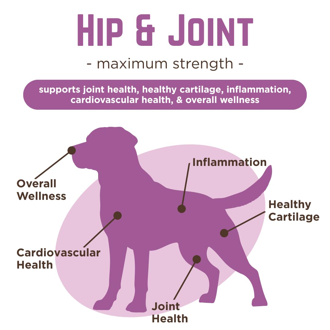 Dr. Joseph's VetPro Complete Dog Hip & Joint Supplement for Arthritis Pain Relief – High-Strength Glucosamine & Chondroitin Chews for Senior Dogs – Vet Formulated Daily Treats, Chicken Flavor, 60 Ct VetPro CompleteAu supplements