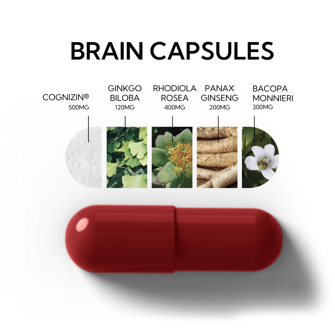 Neutonic Nootropic Brain Supplement | 1 Month Supply 90 Capsules | for Men and Women | Support Memory, Mental Clarity, Cognitive Function | Boost Focus, Energy, Brain Health NeutonicAu supplements