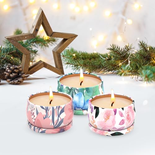 3 Pack Scented Candles Set for Christmas Thanksginving Gift, Relaxing Aromatherapy Candles Gift HenalerAu supplements