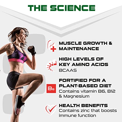 SCI-MX Pro-V Gain - 100% Vegan Chocolate Flavour Soy Protein Powder Isolate + B12 + Magnesium SCI-MXUS supplements