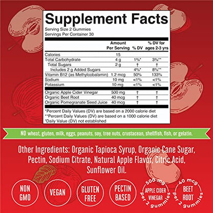 Mary Ruth's Apple Cider Vinegar Gummies, 60 CT MaryRuth OrganicsUS supplements