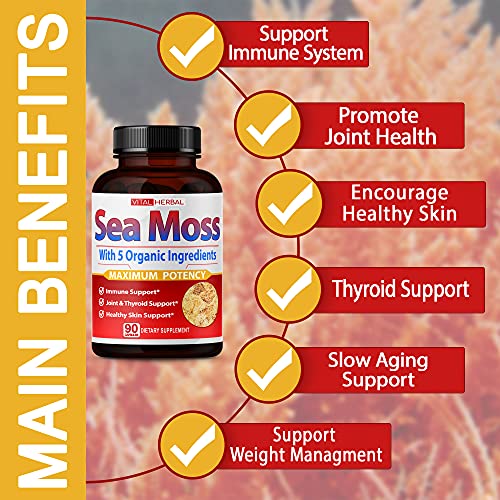 VITAL HERBAL Irish Sea Moss Capsules Equivalent to 5450mg - Maximum Potency VITAL HERBALUS supplements