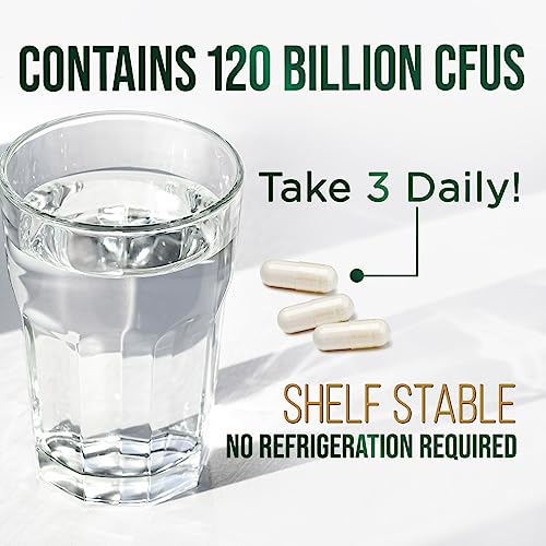 Nature's Peak Probiotics for Digestive Health - 120 Billion CFU with Diverse Strains Nature's PeakUS supplements
