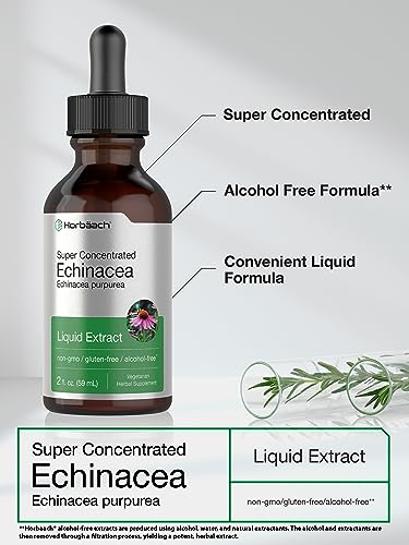 Echinacea Drops Liquid Extract | 2 fl oz | Super Concentrated Tincture | Alcohol Free HorbäachUS supplements