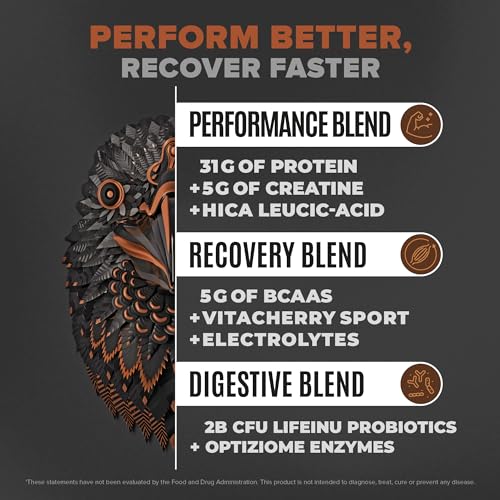 Birdman Falcon Performance Vegan Protein Powder, 31g Protein, 5g Creatine, 5g BCAA BIRDMANUS supplements