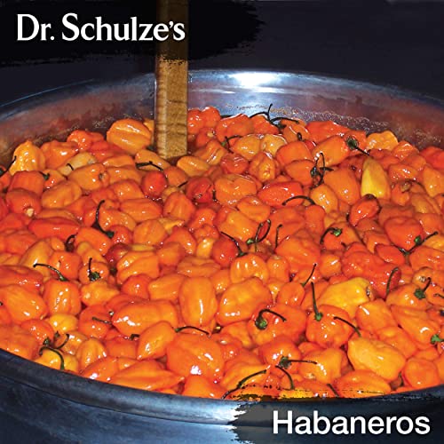 Brain Formula 2 oz. - Vegan and Wild-Harvested | Stimulates Circulation and and Improved Dr. Schulze'sUS supplements
