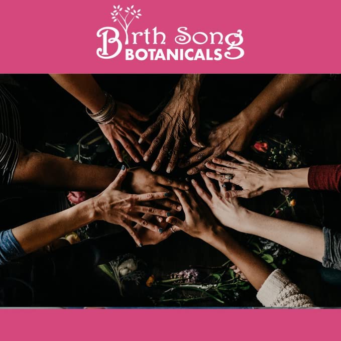 Birth Song Botanicals Menstrual Harmony Tincture, Herbal Period Symptom Support Birth Song BotanicalsAu supplements