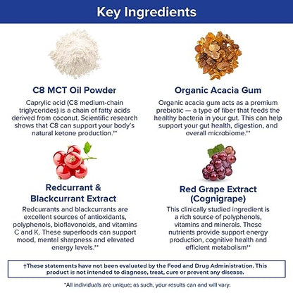 Gundry MD MCT Wellness Powder to Support Energy, Ketone Production and Brain Health Gundry MDUS supplements