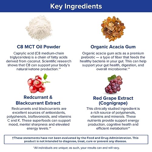 Gundry MD MCT Wellness Powder to Support Energy, Ketone Production and Brain Health Gundry MDUS supplements