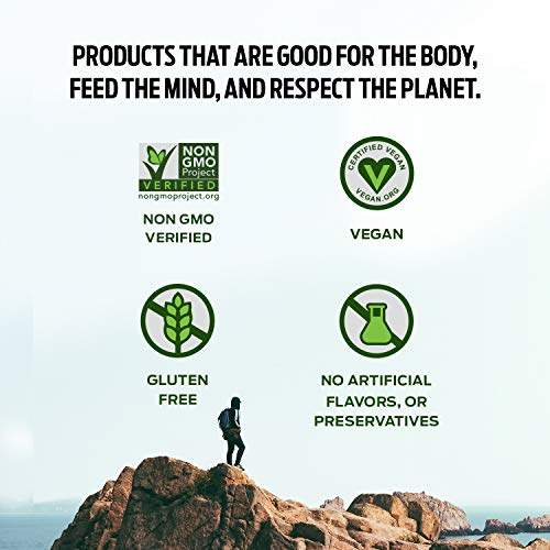 Vega Protein Made Simple Protein Powder, Strawberry Banana - Stevia Free, Vegan VegaUS supplements