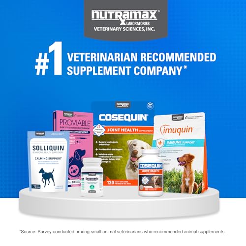 Nutramax Cosequin for Dogs Joint Health Supplement, Contains Glucosamine, Plus Chondroitin, MSM and Omega-3s, Supports Joint and Skin and Coat Health, Soft Chews, 120 Count Nutramax LaboratoriesAu supplements