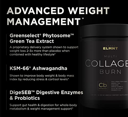 Super Collagen Burn - Premium Multi Collagen for Women w. ACV, Hyaluronic Acid, KSM66 TERRA ELMNTUS supplements