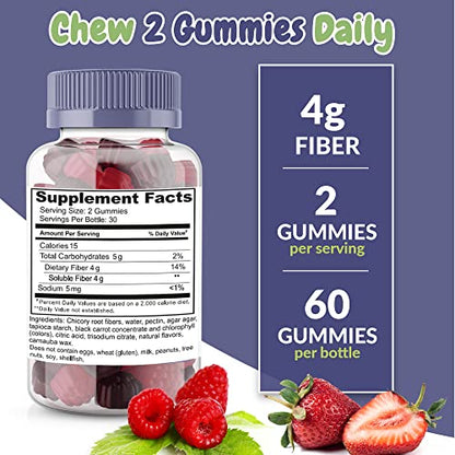 Fiber Prebiotic Gummies Sugar Free, Keto Friendly 2 Pack | Gut Cleansing, Digestive Health Health SuppliedUS supplements