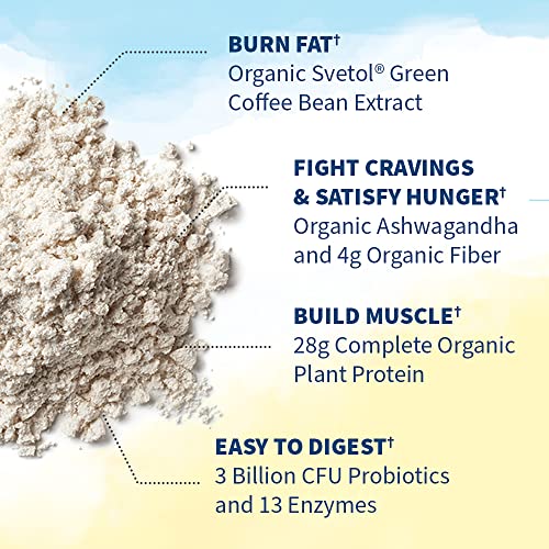 Garden of Life Raw Organic Fit Vegan Protein Powder Vanilla, 28g Plant Based Protein Garden of LifeUS supplements