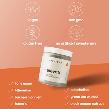 Avantera Premium Nootropic, Elevate | Energy, Focus, Mood, & Gut Health | 30 Day Supply AvanteraUS supplements