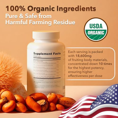 USDA Organic Lions Mane Supplement Capsules with Ashwagandha, Chaga, Reishi, Cordyceps Etta VitaUS supplements