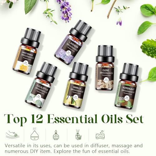 Essential Oils Set - 12 Pcs Aromatherapy Essential Oil Kit for Diffuser, Humidifier, Aromatherapy, Massage AeshoryAu supplements