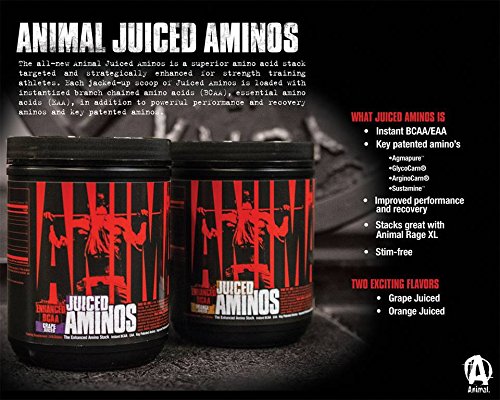 Animal Creatine Chews Tablets - Enhanced Creatine Monohydrate with AstraGin to Improve AnimalUS supplements