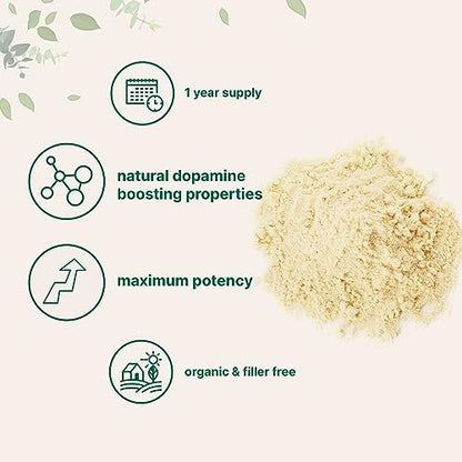 Micro Ingredients Organic Mucuna Pruriens Extract Powder,1 Pound (908 Servings) Micro IngredientsUS supplements