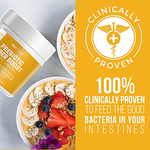 GOBIOTIX Fiber Supplement - Prebiotic Soluble Fiber Powder, Supports Gut Health GOBIOTIXUS supplements