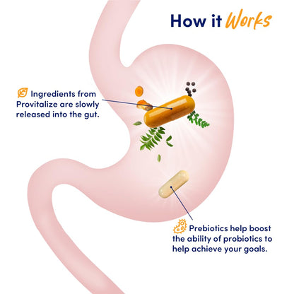 Better Body Co. Original Slim Gut Bundle | Provitalize & Previtalize Bundle - Natural Menopause Better Body Co.US supplements