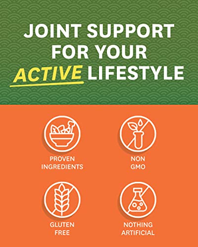 Zenwise Health Glucosamine Chondroitin MSM - Joint Support Supplement with Turmeric Zenwise HealthUS supplements