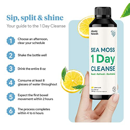 Sea Moss 1 Day Cleanse - Full Body Detox to support bowel movements, Kidney Health Atlantic NaturalsUS supplements