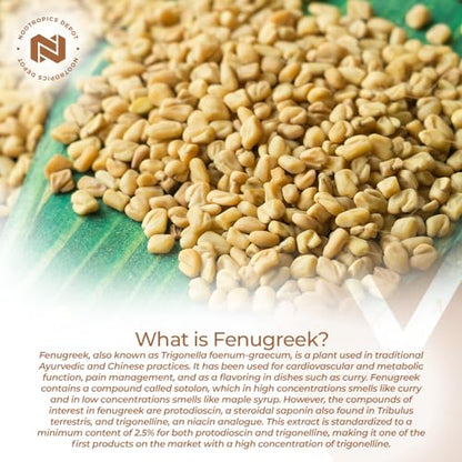 Nootropics Depot Fenugreek Extract Capsules | 500mg | 60 ct | 2.5% Trigonelline Nootropics DepotUS supplements