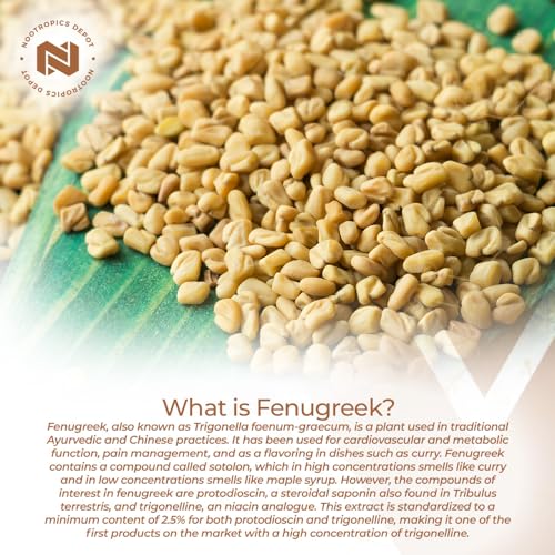 Nootropics Depot Fenugreek Extract Capsules | 500mg | 60 ct | 2.5% Trigonelline Nootropics DepotAu supplements
