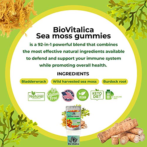 Sea Moss Gummies - Irish sea Moss raw Organic, Bladderwrack, Burdock Root BIO VITALICAUS supplements