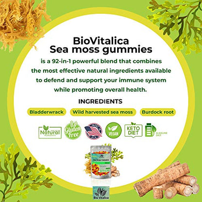 Sea Moss Gummies - Irish sea Moss raw Organic, Bladderwrack, Burdock Root BIO VITALICAUS supplements
