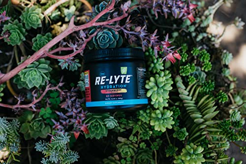 REDMOND Re-Lyte Hydration Electrolyte Mix (Strawberry Lemonade) REDMONDUS supplements