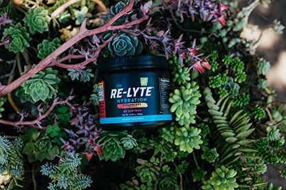 REDMOND Re-Lyte Hydration Electrolyte Mix (Strawberry Lemonade) REDMONDUS supplements