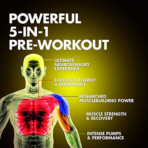 Pre Workout Powder | MuscleTech Vapor X5 for Men & Women, Energy Drink Mix Sports MuscleTechAu supplements