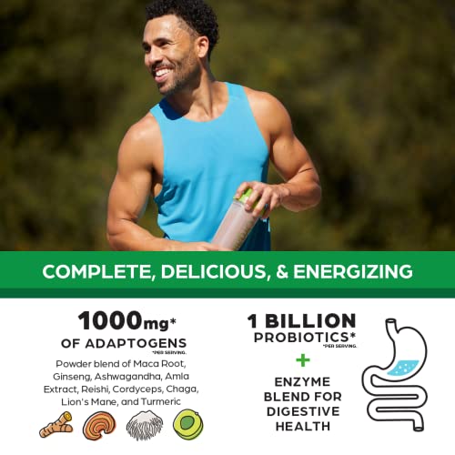 Orgain Organic Perfect Meal Replacement Protein Powder, Chocolate - 25g Plant Based OrgainUS supplements