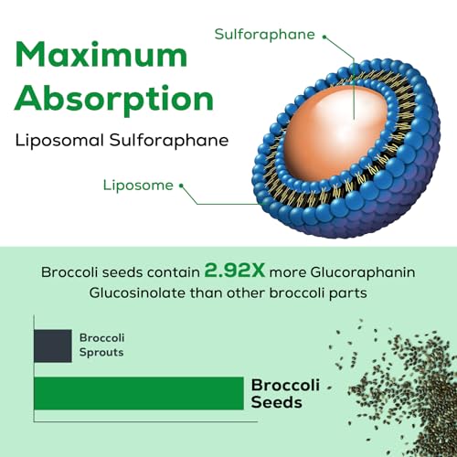 Osasuna Liposomal Sulforaphane 450MG, Maximum Absorption, 240 Softge OsasunaUS supplements