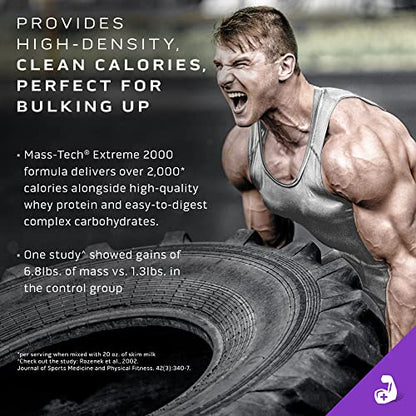 MuscleTech Mass Gainer Protein Powder, Mass-Tech Extreme 2000, Muscle Builder MuscleTechUS supplements