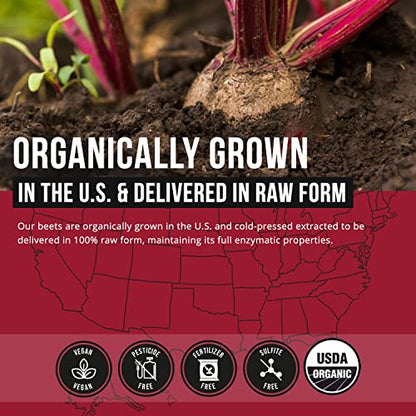 BioBeet Max Strength Beet Root Juice Powder – 20:1 Concentrate, Each Serving Derived Triquetra HealthUS supplements