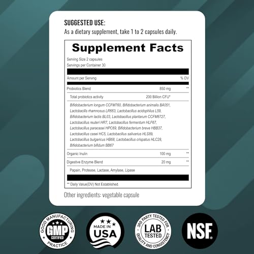 UpNourish Probiotics - 200 Billion CFUs, 15 Strains, Prebiotics & Enzymes - 60 Vegan Cap UpNourishUS supplements