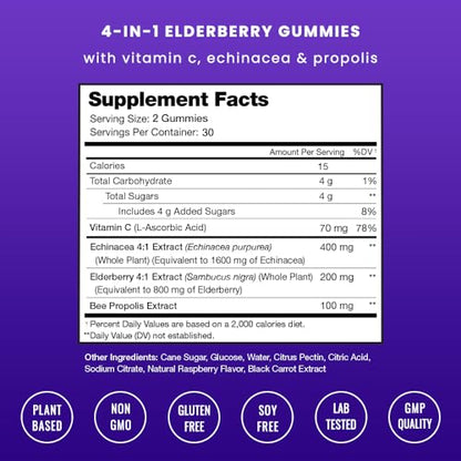 Elderberry Gummies | Sambucus Elderberry Gummies for Adults & Kids | Vitamin C NutraChampsUS supplements