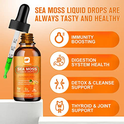 B BEWORTHS Sea Moss Liquid Drops - Organic Irish Sea Moss Raw Gel with Burdock Root B BEWORTHSUS supplements