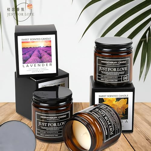 Candles for Home Scented Candle Gifts for Men Candles Clearance Amber Candle Jar Soy Wax Candles CaelusiAu supplements