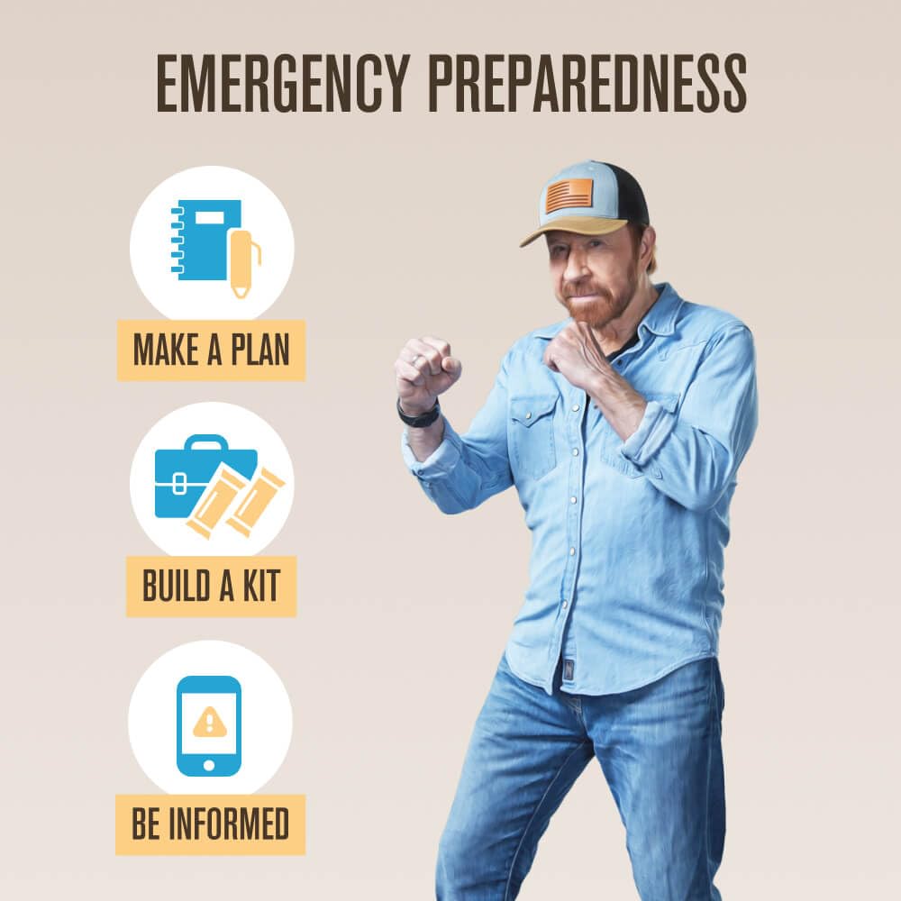 Roundhouse Provisions by Chuck Norris Emergency Food Bars - High Calorie Lemon Shortbread, 14 Vitamins & Minerals - Whole Grain Sorghum, 5-Year Shelf Life - Survival Rations for Crisis & Adventure ROUNDHOUSE PROVISIONAu supplements