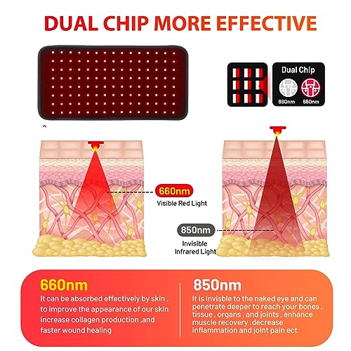 Red Light Therapy Infrared Light Therapy for Muscle Pain Relief and Inflammation Red Light Therapy Belt DYUFAu supplements