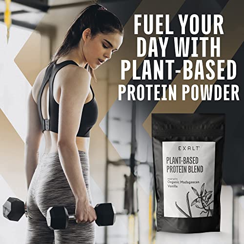 EXALT Vegan Protein Powder - 100% Plant-Based – Gluten Free - Keto Friendly EXALTAu supplements