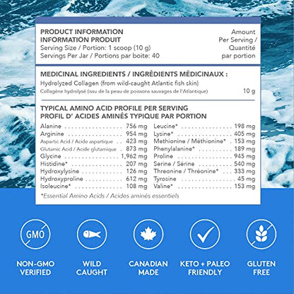 SPROOS - Marine Collagen - Beverage Powder - Hydrolised Collagen Peptides SPROOSUS supplements