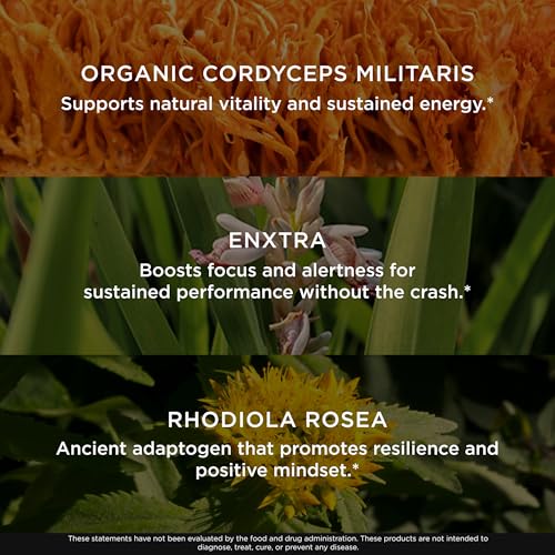 The Genius Brand Rise + Shine Nootropic – Cordyceps & Rhodiola Rosea – Caffeine-Free Energy & Mood Support – Focus, Clarity & Emotional Balance – 30 Servings The Genius BrandUS supplements