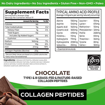 Orgain Hydrolyzed Collagen Powder, 20g Grass Fed Collagen Peptides, Chocolate OrgainUS supplements
